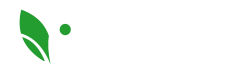 Logo Real de Palmas
